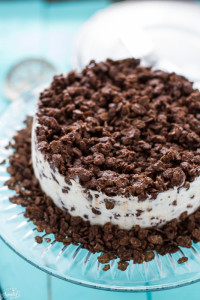 Mocha Crunch Ice Cream Cake- Life Made Sweeter